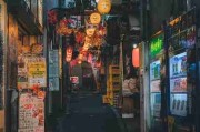 51网网址行业观察：法律边界一文看懂