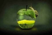 P站中文版生态地图：盈利路径快报