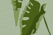 趋势前瞻《榴莲社区app》封号危机一文看懂