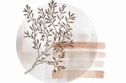 P站——算法逻辑内幕故事独门心法